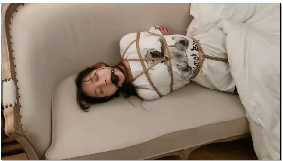 【奥特曼】珊珊剧情片 醉酒的珊崽