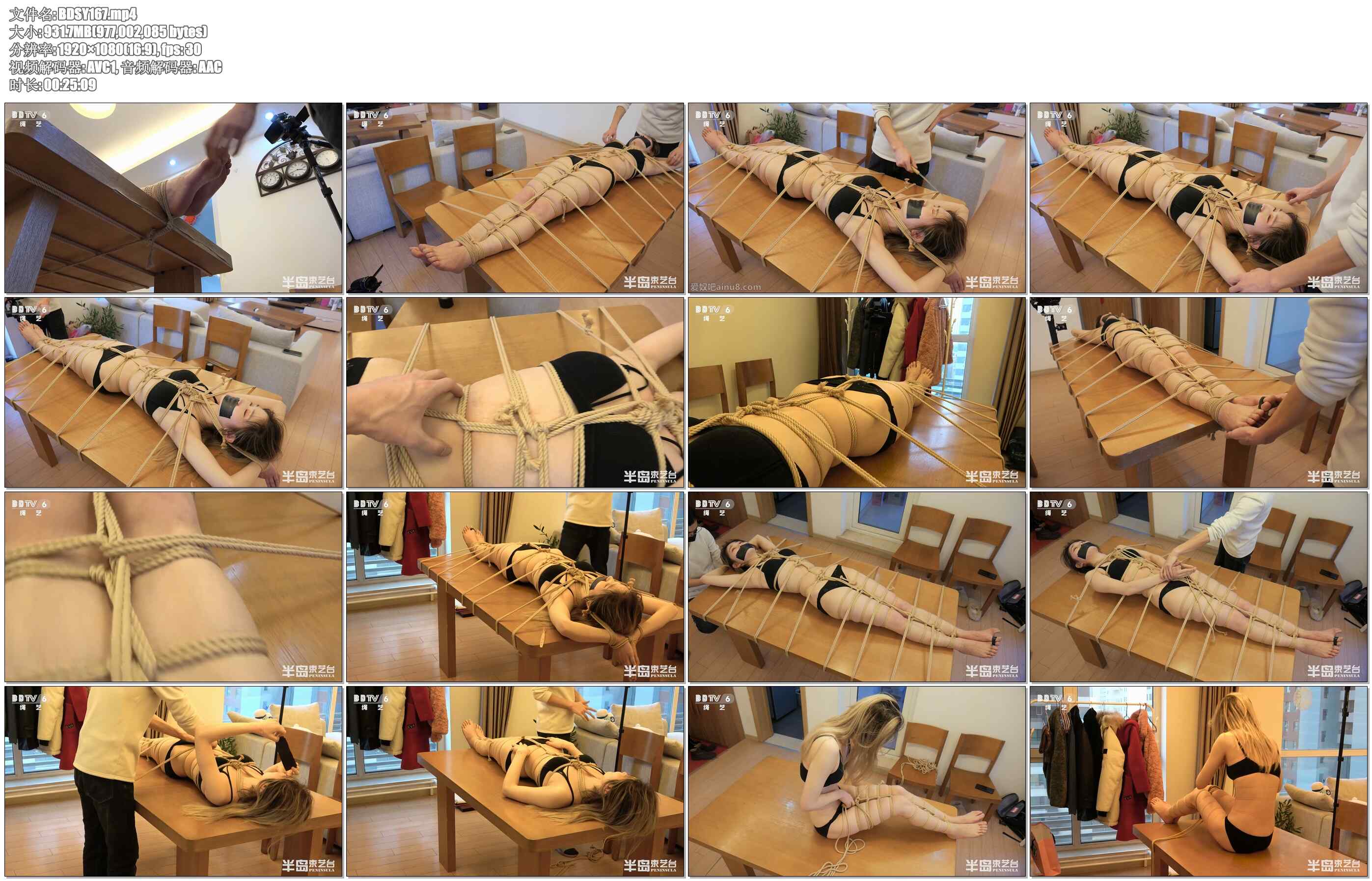 【半岛束艺】鹿野人体盛TK