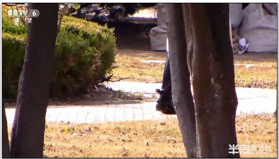 【半岛束艺台】海语镣铐广场人群穿梭