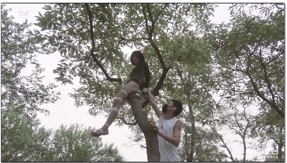 【半岛束艺】这是什么造型啊，挺别致啊