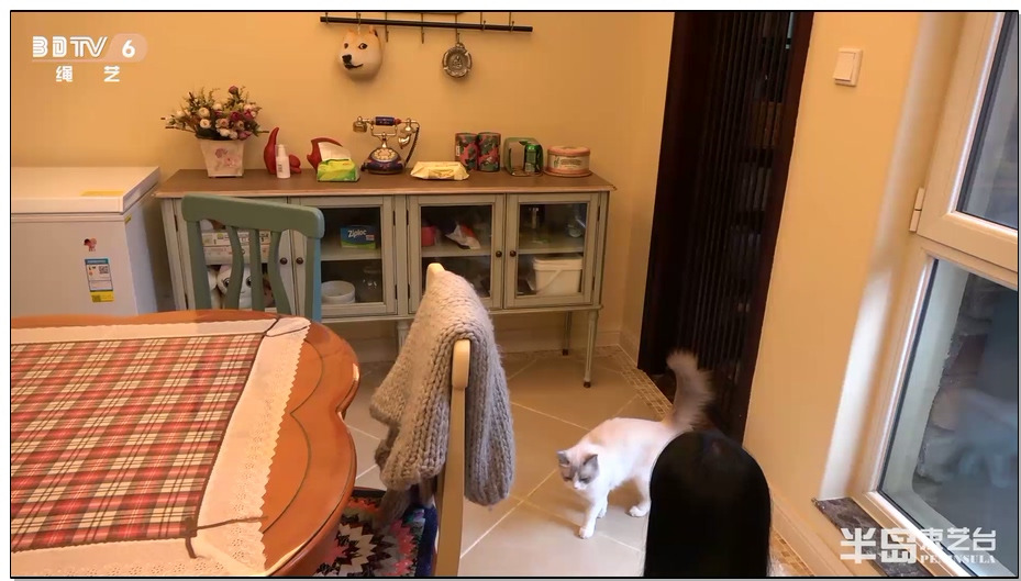 【半岛束艺】回家的诱惑，趁媳妇不在家带桃子回家