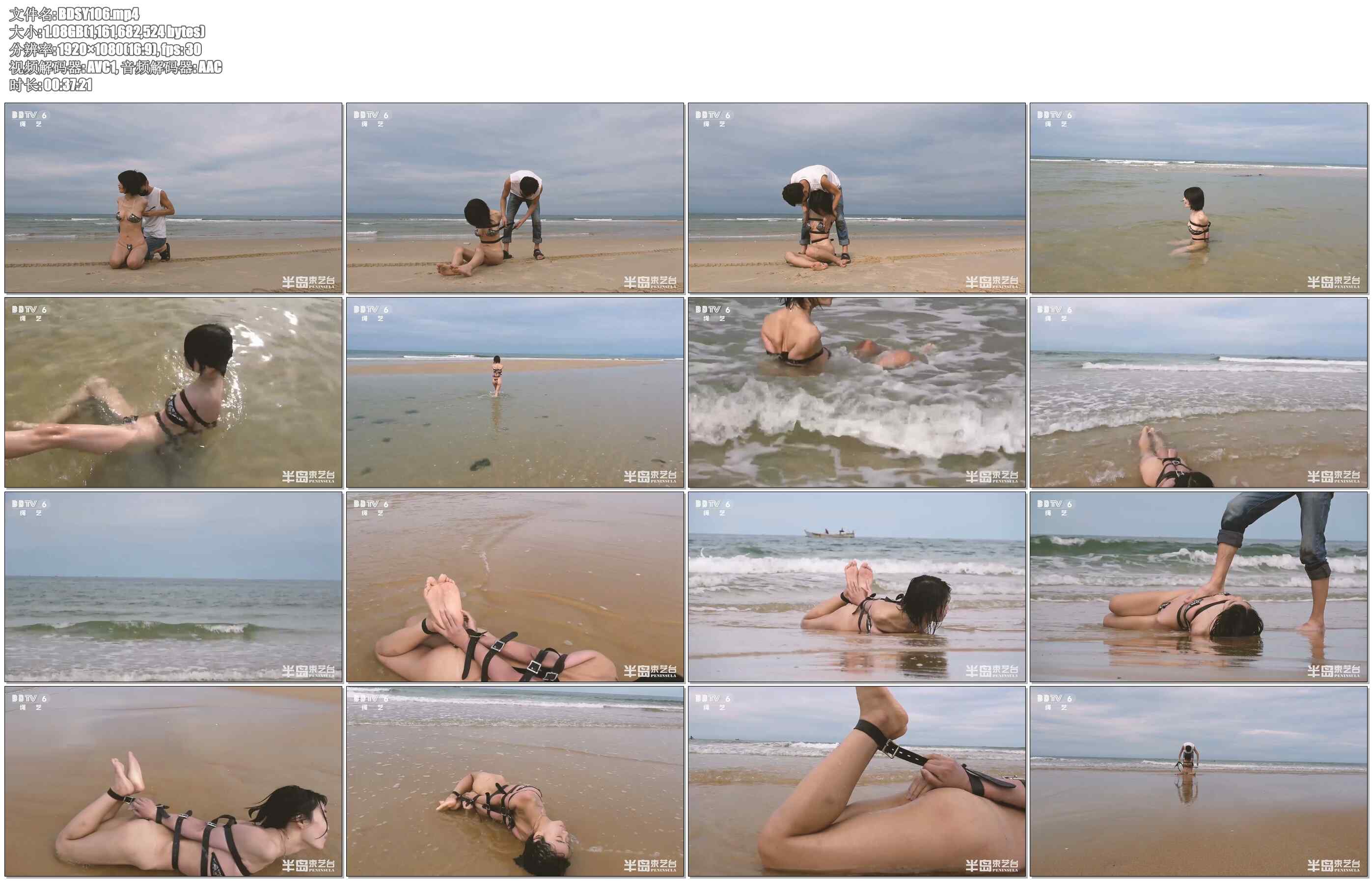 【半岛束艺】惊涛骇浪下的驷马，如无人保护必死无疑