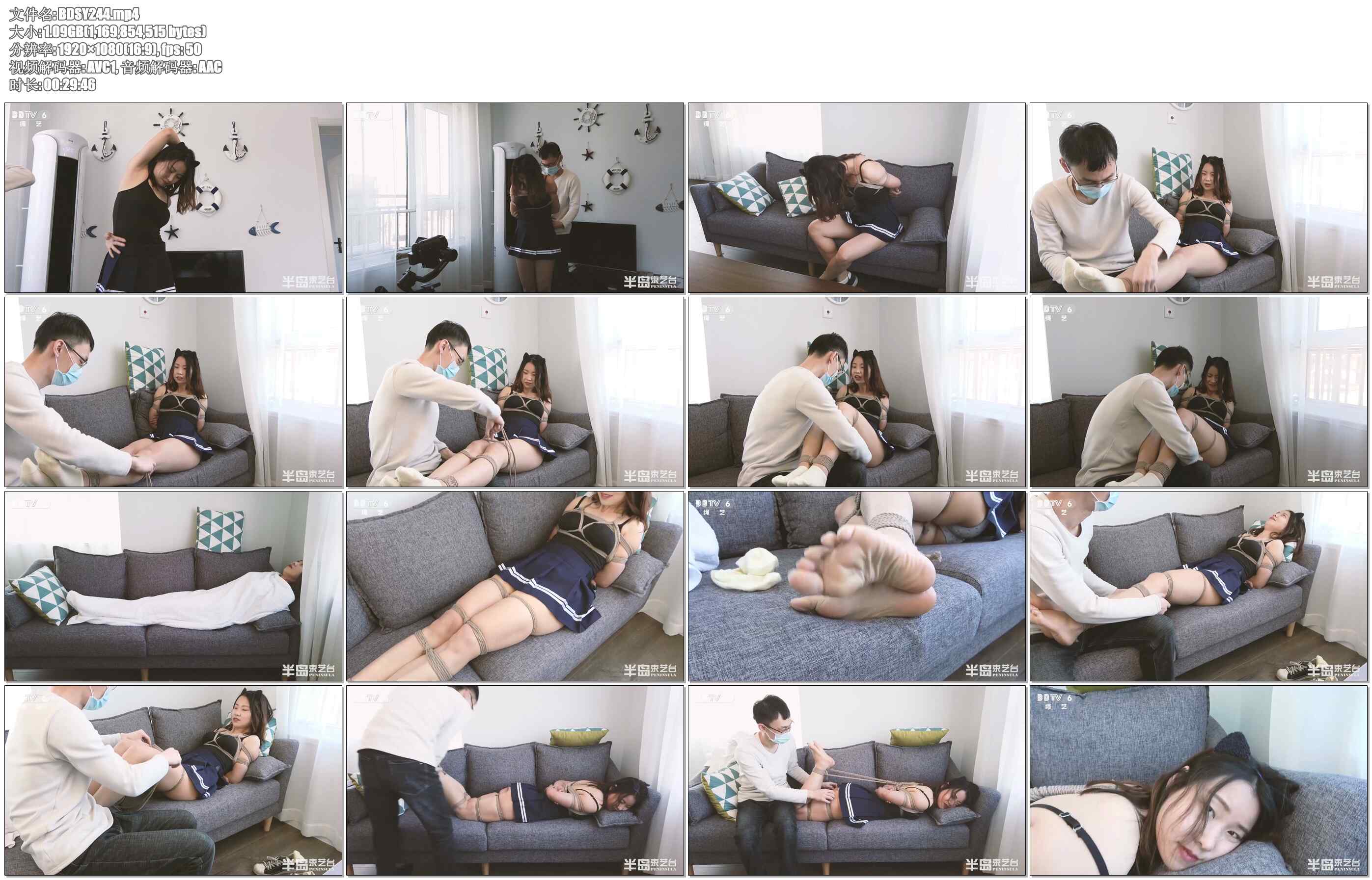 【半岛束艺】候鸟回家：阿紫每年一次的迁徙