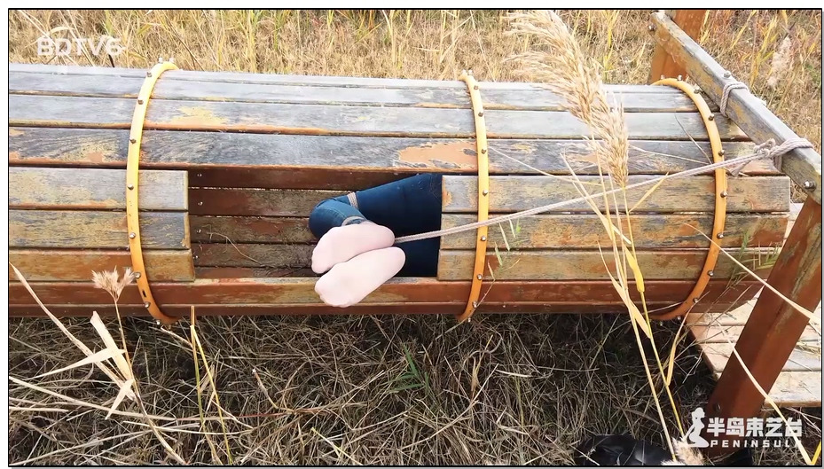 【半岛束艺】鹿野游乐园计划（二）狗洞放置TK