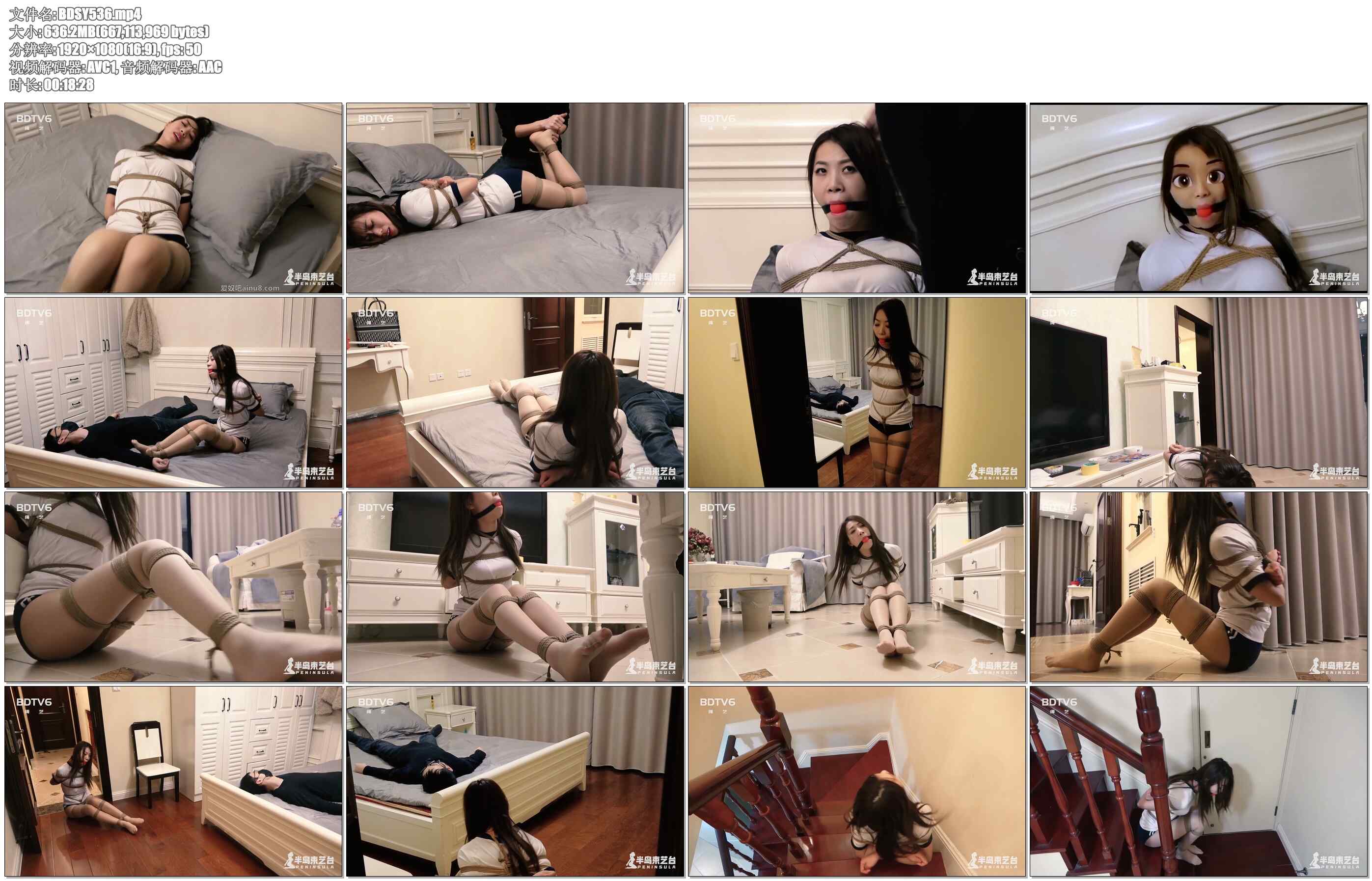 【半岛束艺】画皮