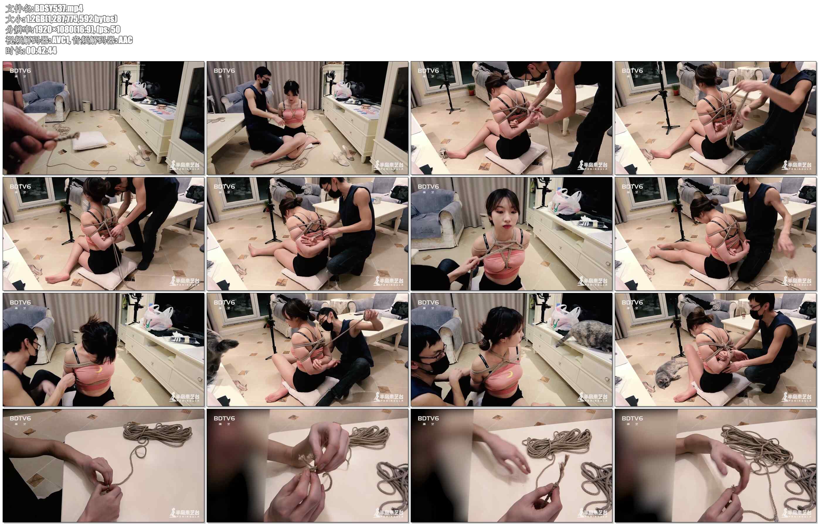 【半岛束艺】第二课：各类实用型日式衍生样式及麻绳绳头编法