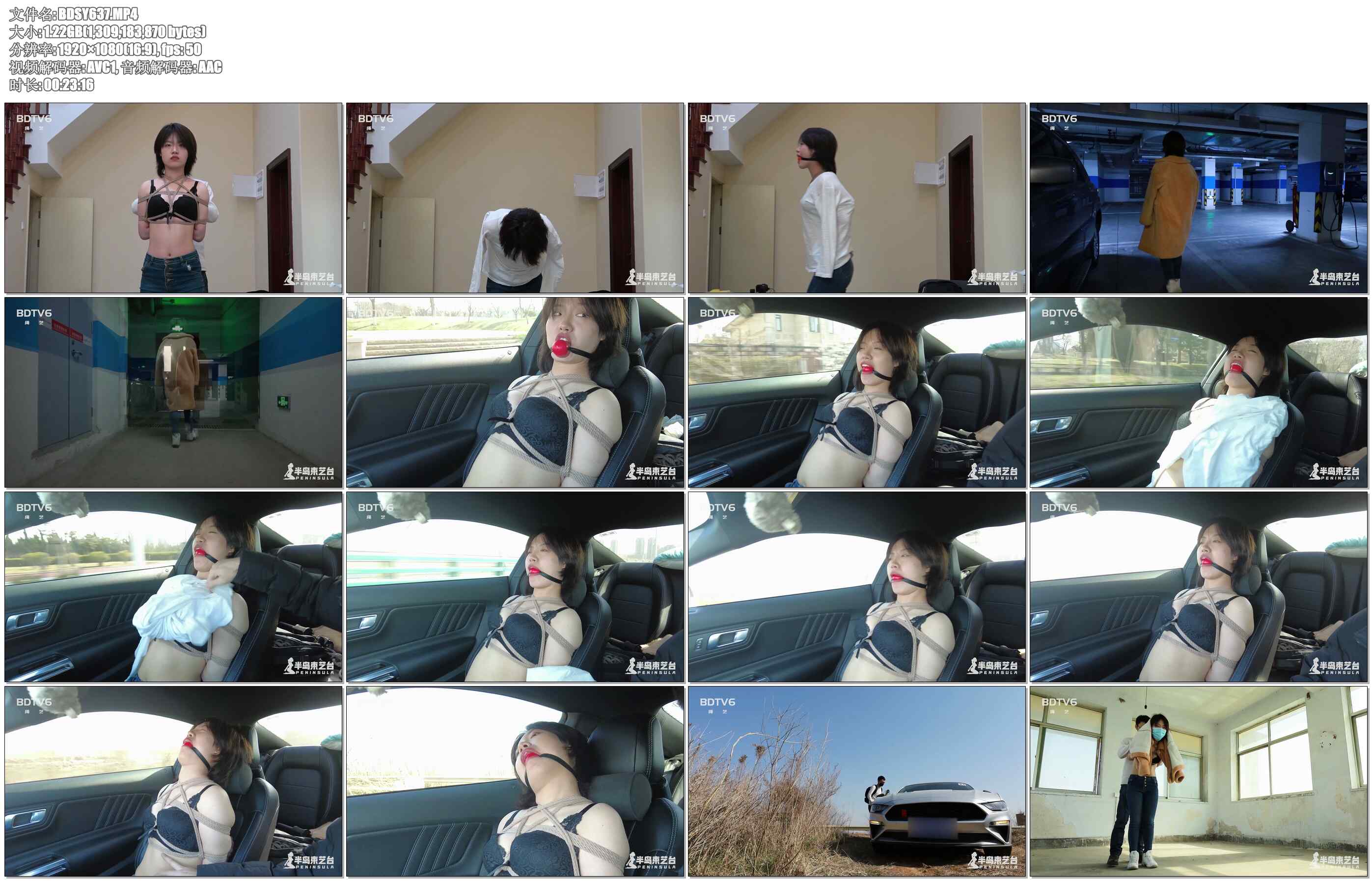 【半岛束艺】海语 羞了一路的副驾驶