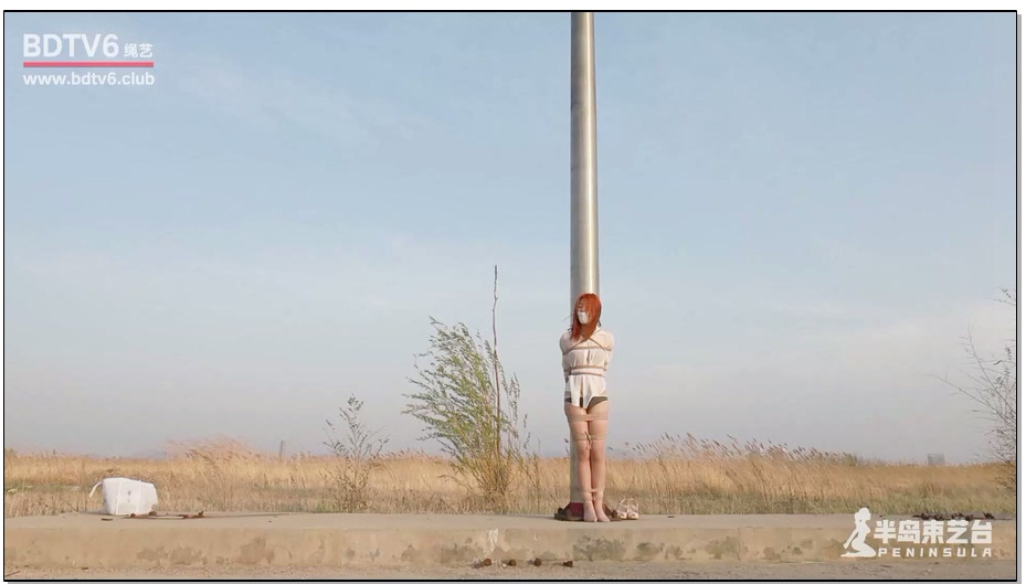 【半岛束艺】寂寞的旗杆和冻感冒的苏心