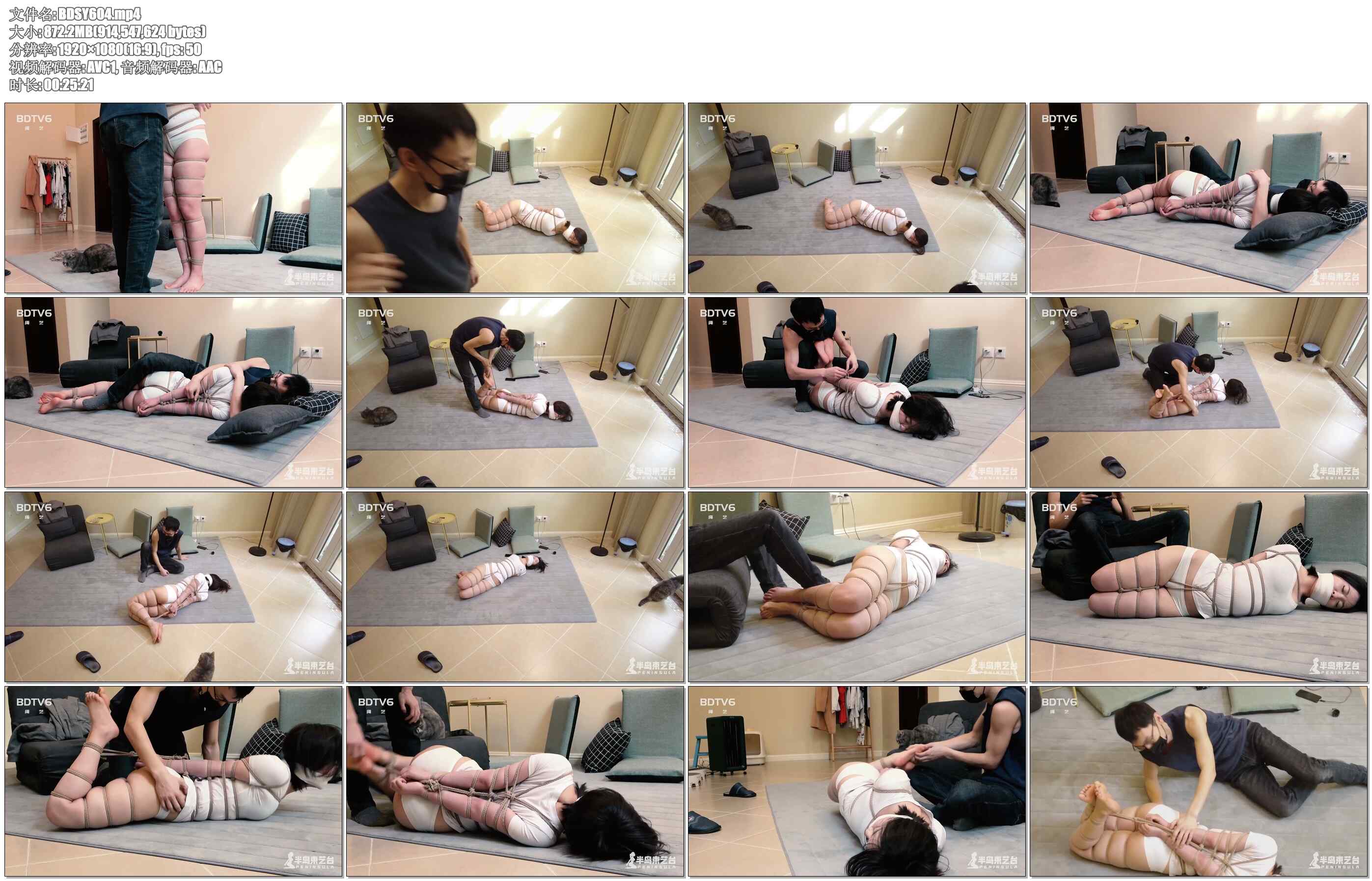 【半岛束艺】不裸足的半岛是没有灵魂的