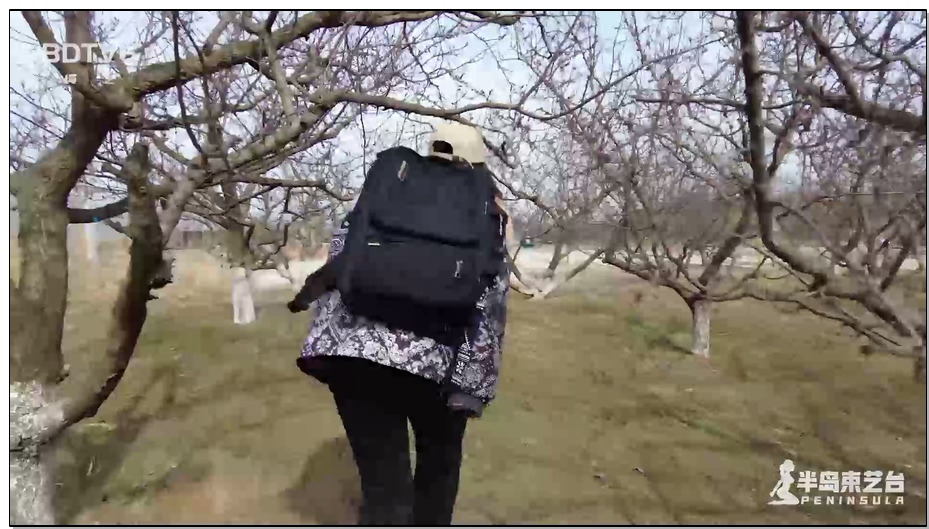 【半岛束艺】布玛黑色春风公园三部曲穿梭篇