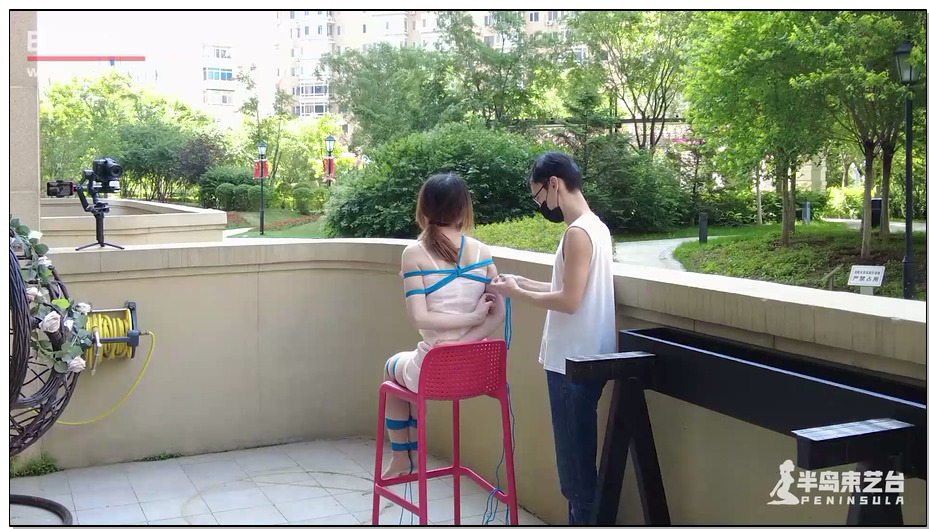 【半岛束艺】春色满园关不住，一枝蓝杏出墙来