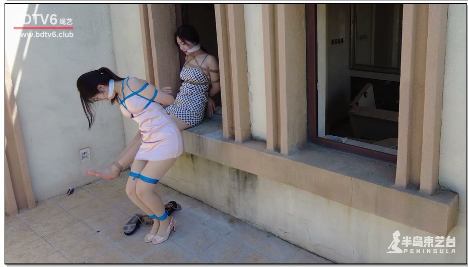 【半岛束艺】消失的伙伴