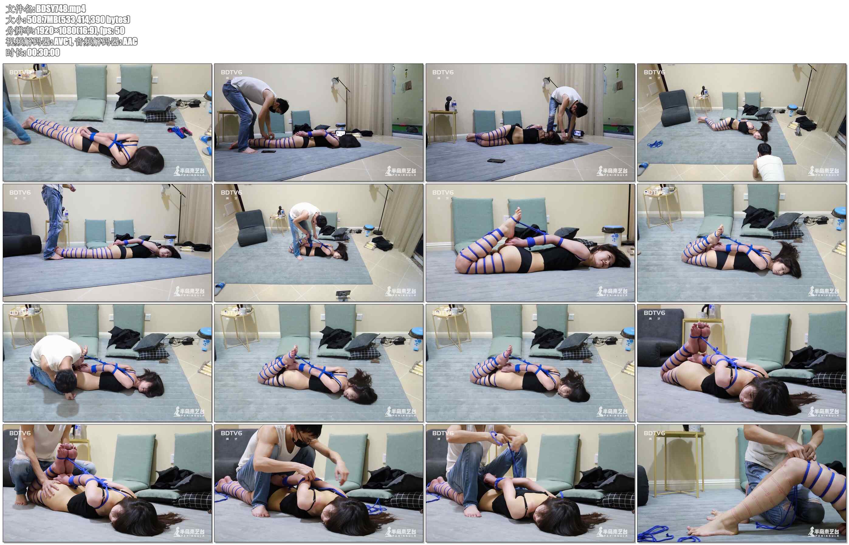 【半岛束艺】西玛的半岛日常