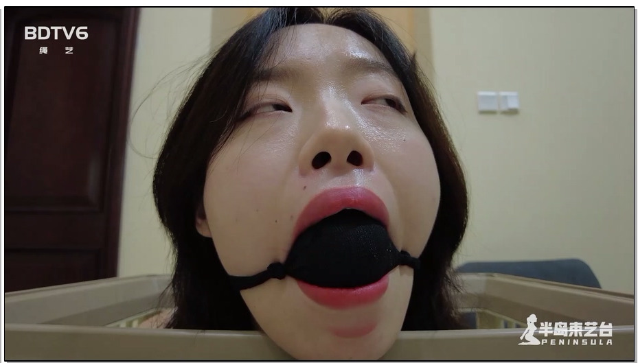 【半岛束艺】猫笼里的无忧生活