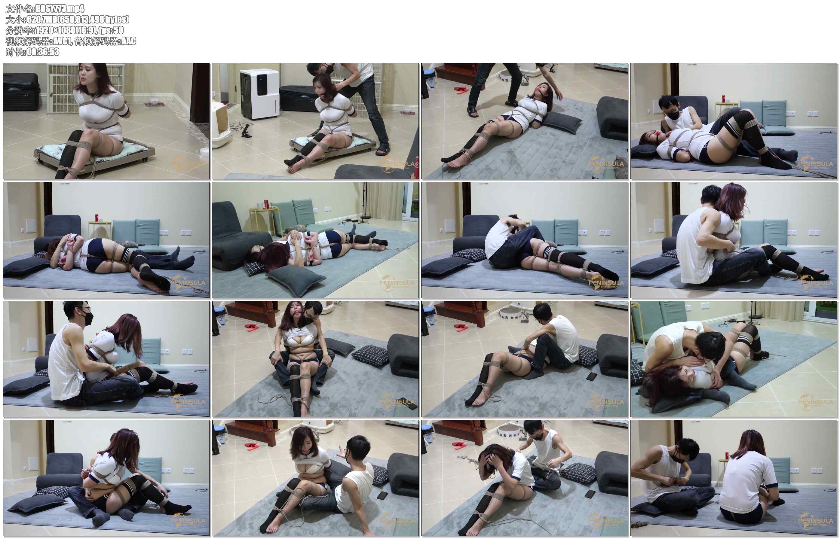 【半岛束艺】请允许台长放飞一下自我